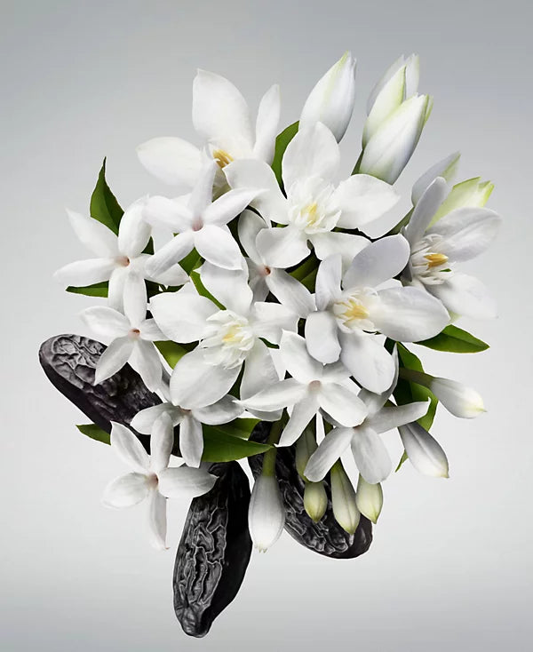 Carolina Herrera  Ladies Good Girl Gift Set